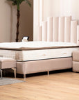 LIT COFFRE TOKYO ANTHRACITE OU BEIGE 140